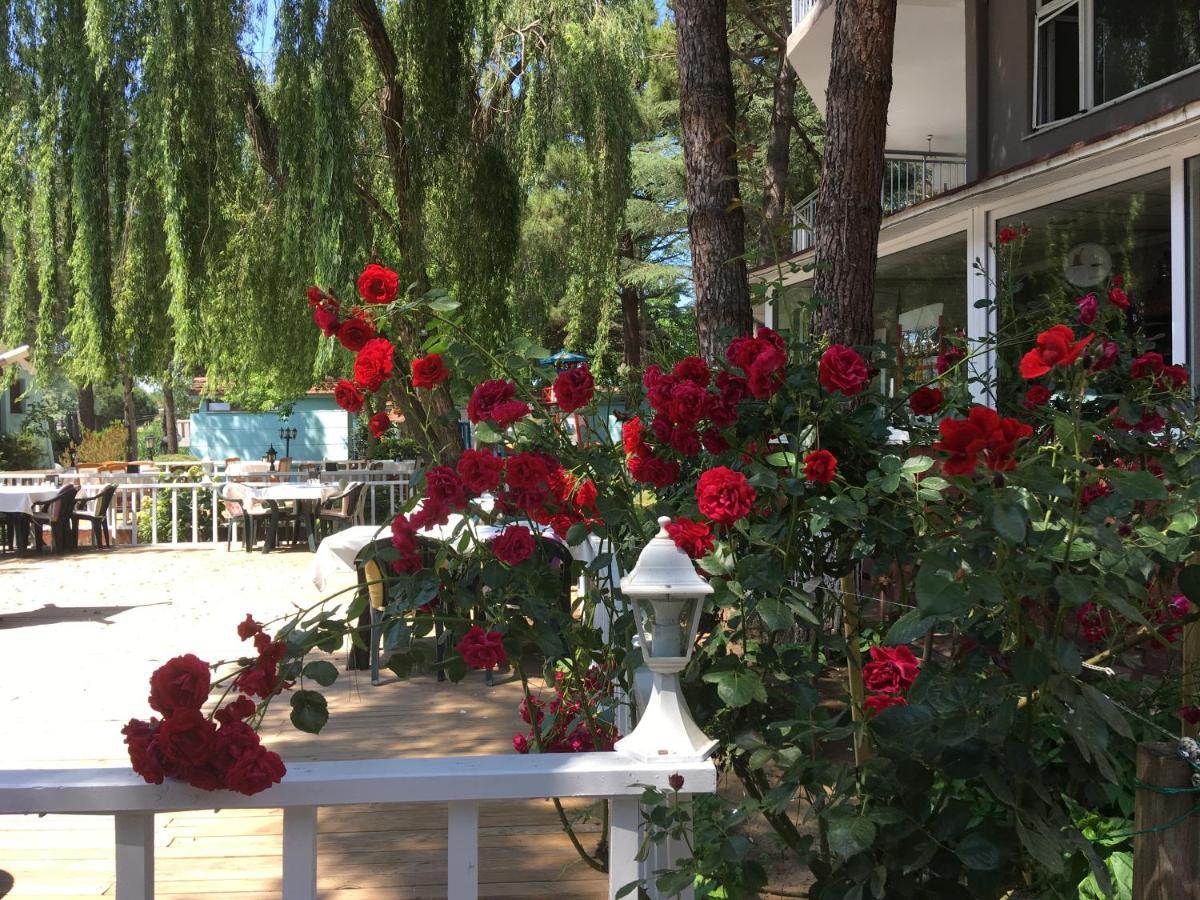 Shila Doert Mevsim Tatil Koyu Hotel Ağva Exterior foto