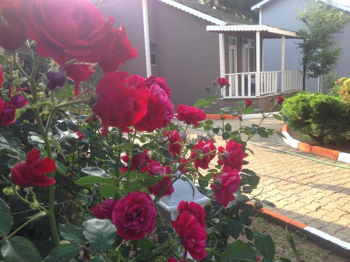 Shila Doert Mevsim Tatil Koyu Hotel Ağva Exterior foto