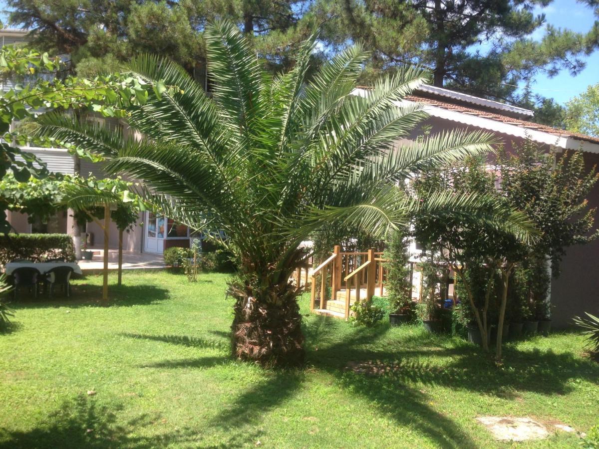 Shila Doert Mevsim Tatil Koyu Hotel Ağva Exterior foto